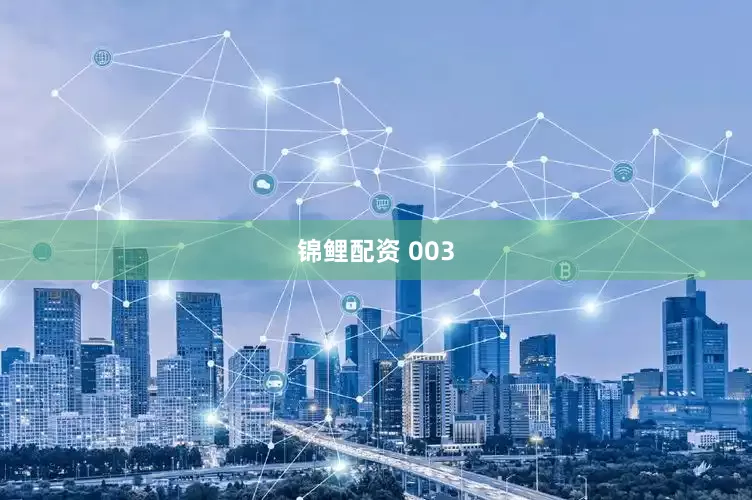 锦鲤配资 003