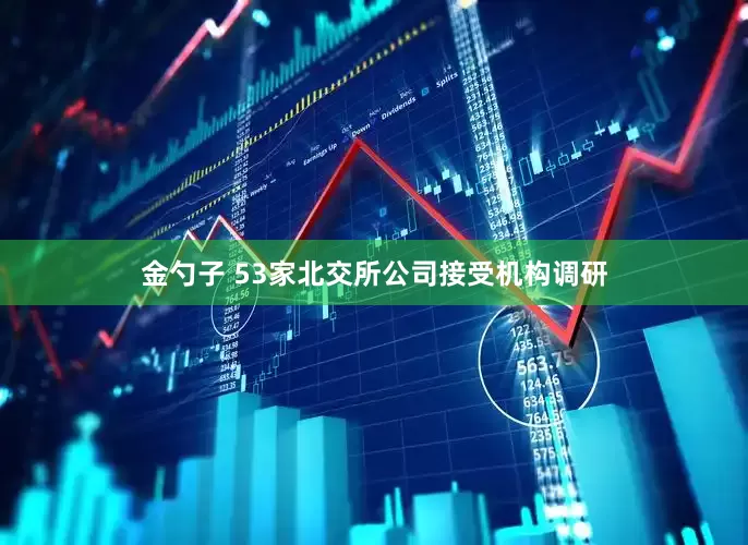 金勺子 53家北交所公司接受机构调研